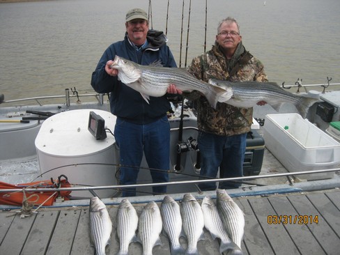 Nice Striped Bass